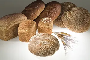 Different Kinds Of Bread Impressions: Different kinds of bread on a studio background