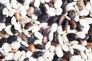 Dried Beans Impressions: Different types of dried beans