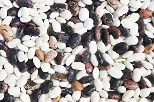 Dried Beans Impressions: Different types of dried beans