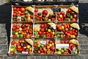 Colorful Vegetable Selection Impressions: Different types of old tomatoes in boxes
