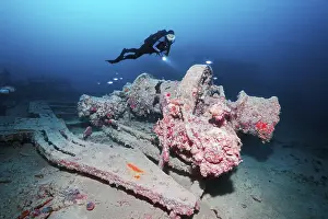 World War II Shipwreck Impressions: Diver, diver looking at Ankewinde