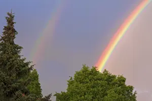 Southern Germany Weather Phenomenon Impressions: Double rainbow, partial view, with trees