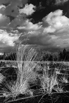 Overcast Cloudy Skies Europe Impressions: Dramatic clouds forming over a former peat bog