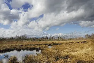 Dramatic Cloud Formation Impressions: Dramatic clouds forming over a former peat bog