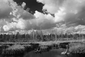 Cloudy Atmospheric Mood Impressions: Dramatic clouds forming over a former peat bog