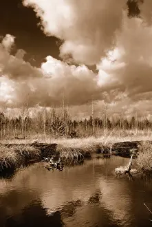 Fossil Energy Source Germany Impressions: Dramatic clouds forming over a former peat bog