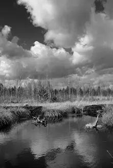 Cloudy Atmospheric Mood Impressions: Dramatic clouds forming over a former peat bog