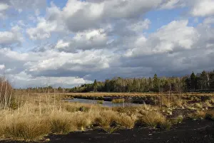 Cloud Blanket Over Bavaria Impressions: Dramatic clouds forming over a former peat bog