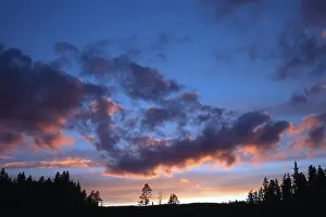 Evening Cloud Formations Impressions: Dramatic clouds at sunset over pine trees and forests