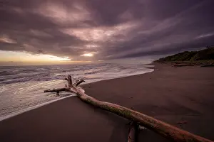 Sandy Ocean Beach Scene Impressions: Dramatic cloudy sky at sunset, tree trunk on the beach