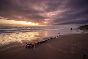 Deserted Sandy Beach Scene Impressions: Dramatic cloudy sky at sunset, tree trunk on the beach