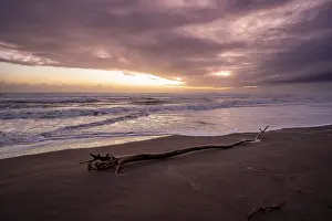 Dramatic Sunset Impressions: Dramatic cloudy sky at sunset, tree trunk on the beach