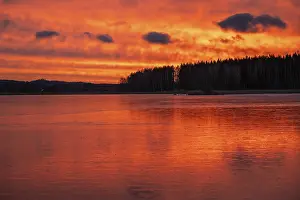 Evening Forest Scene Impressions: A dramatic sunset over a still