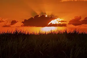 Atmospheric Light Effects Impressions: Dramatic sunset behind clouds, Chebel