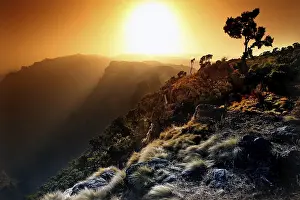 Mountain Backdrop Impressions: Dramatic sunset over a mountain landscape with tree