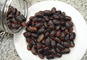 Grocery Store Vegetables Impressions: Dried beans
