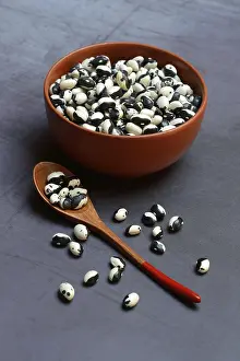 Dried Beans Impressions: Dried beans in shell with spoon