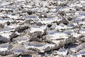 Namibia National Parks Impressions: Dried mud patterns with cracks on the ground