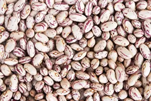 Dried Beans Impressions: Dried patterned beans