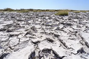 Climate Change Effects Impressions: Drought mud patterns with cracks
