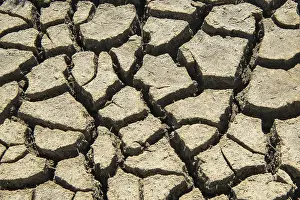 Northern German Coastline Impressions: Dry mudflat, torn up mudflat bottom