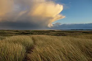 Dune Landscape Impressions: Dune Landscape with Thundercloud
