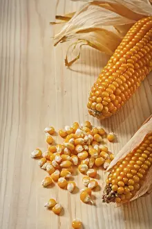Gourmet Meal Ingredients Impressions: Ears of corn composition