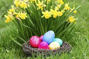 Springtime Landscape Photography Impressions: Easter, Easter eggs, Spring, Spring meadow