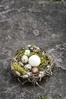Colorful Easter Eggs Impressions: Easter, Easter nest, grey background