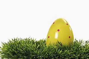 Empty Studio Background Photo Impressions: Easter egg on grass