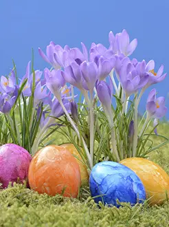 Easter Eggs Impressions: Easter eggs, Easter egg, eggs, Easter