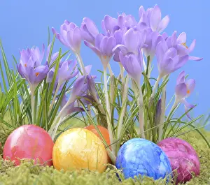Early Spring Flowers Impressions: Easter eggs, Easter egg, eggs, Easter