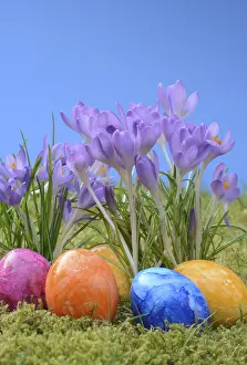 Heralds Of Spring Impressions: Easter eggs, Easter egg, eggs, Easter