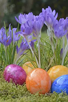 Heralds Of Spring Impressions: Easter eggs, Easter egg, eggs, Easter