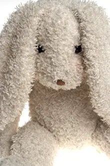 Easter Bunny Impressions: Easter rabbit