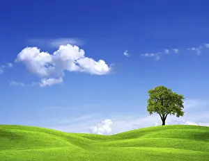 British Countryside Scenes Impressions: EcoGreen