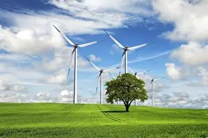Wind Energy Generation Impressions: Ecological priority