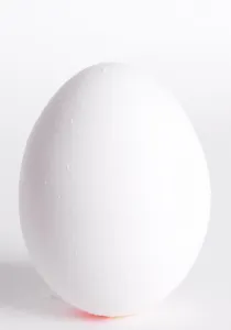 Egg Nutrition Impressions: Egg