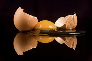 Balanced Diet Ingredients Impressions: Egg