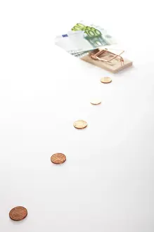 Euro Banknote Impressions: To entrap