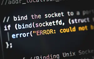 Data Security Breach Impressions: Error, bug, syntax, source code