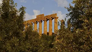 Historic Temple Complex Impressions: Evening light, row of columns, chapter