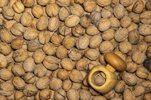 Empty Wooden Table Setting Impressions: Evenly distributed walnuts spread out to fill the format with a wooden nutcracker as a background