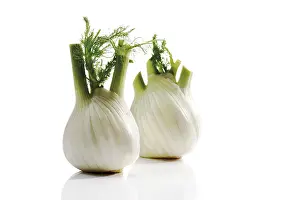Food Photography Studio Background Impressions: Fennel