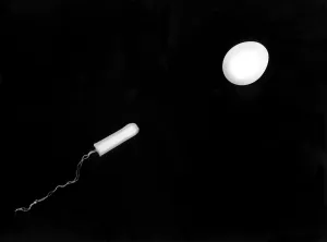 Fertilization Process Impressions: Fertilization