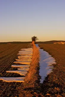 Winter Agricultural Scene Impressions: Fields in the evening light, St