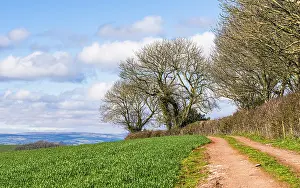 Devon Landscape Photography Impressions: Fields and Farmlands over Devon