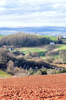 Devon Landscape Photography Impressions: Fields and Farmlands over Devon
