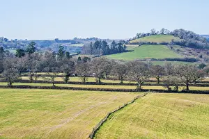 British Countryside Impressions: Fields and Farmlands over Devon