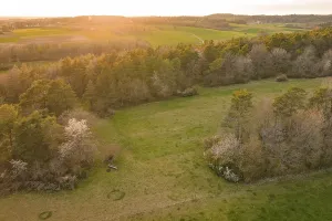 Evening Sun In The Black Forest Impressions: Fields and forests in soft sunset light